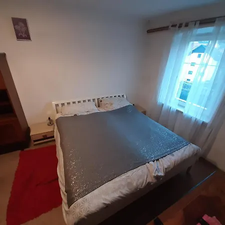 Nastanitev v družini Lux Center B&B - Pasja Grofica Idrija